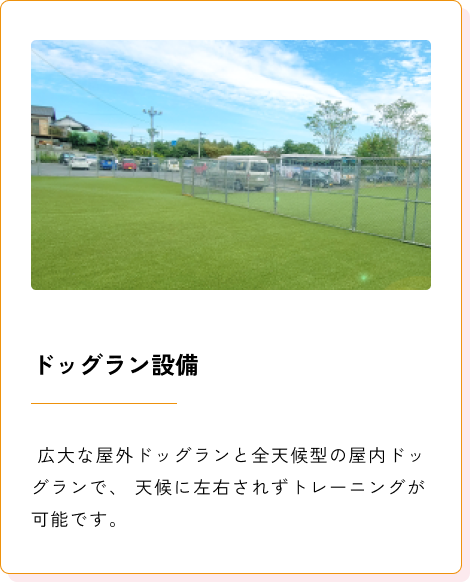 Background+Border+Shadow (1)