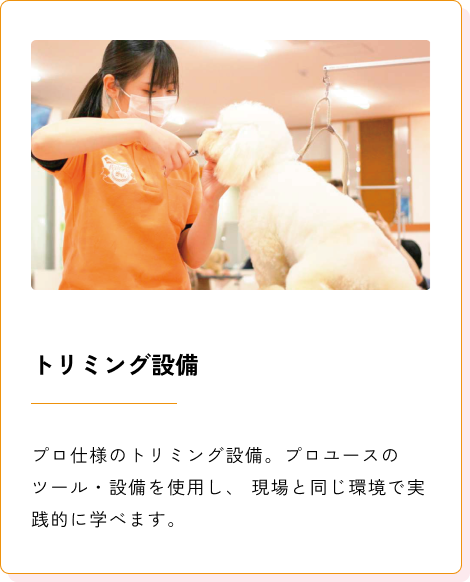 Background+Border+Shadow (2)