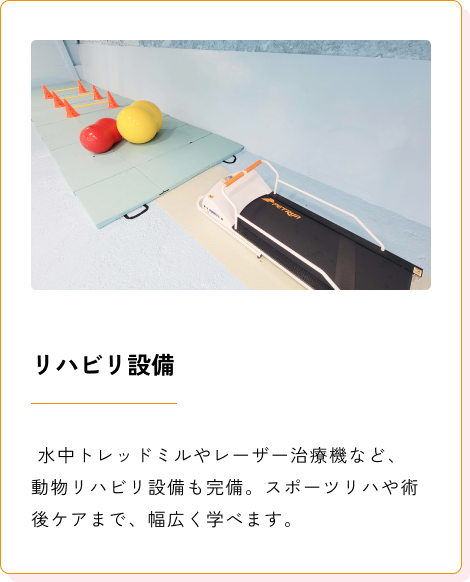 Background+Border+Shadow (3)