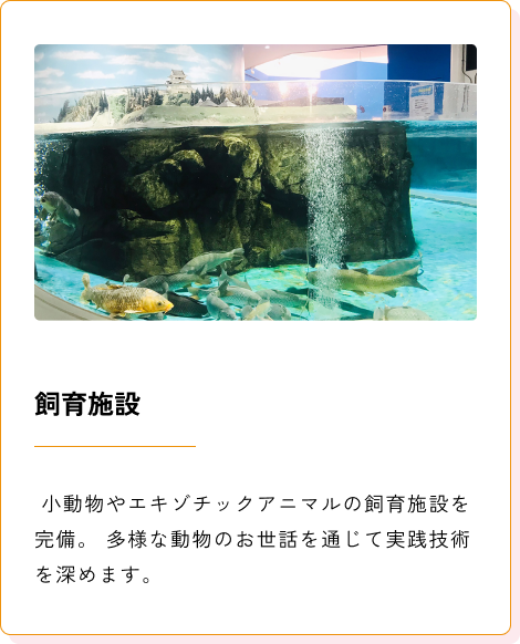 Background+Border+Shadow (4)