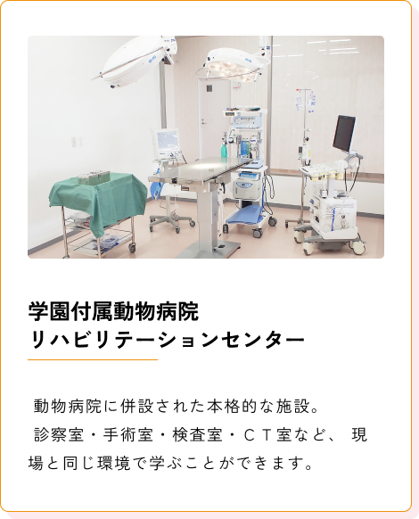 Background+Border+Shadow